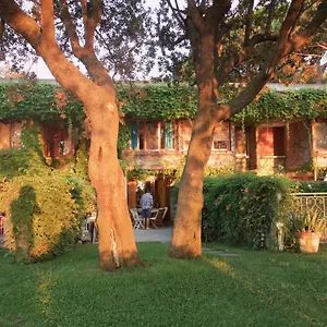 https://lo-scoglietto-60.it-tuscanyhotel.com